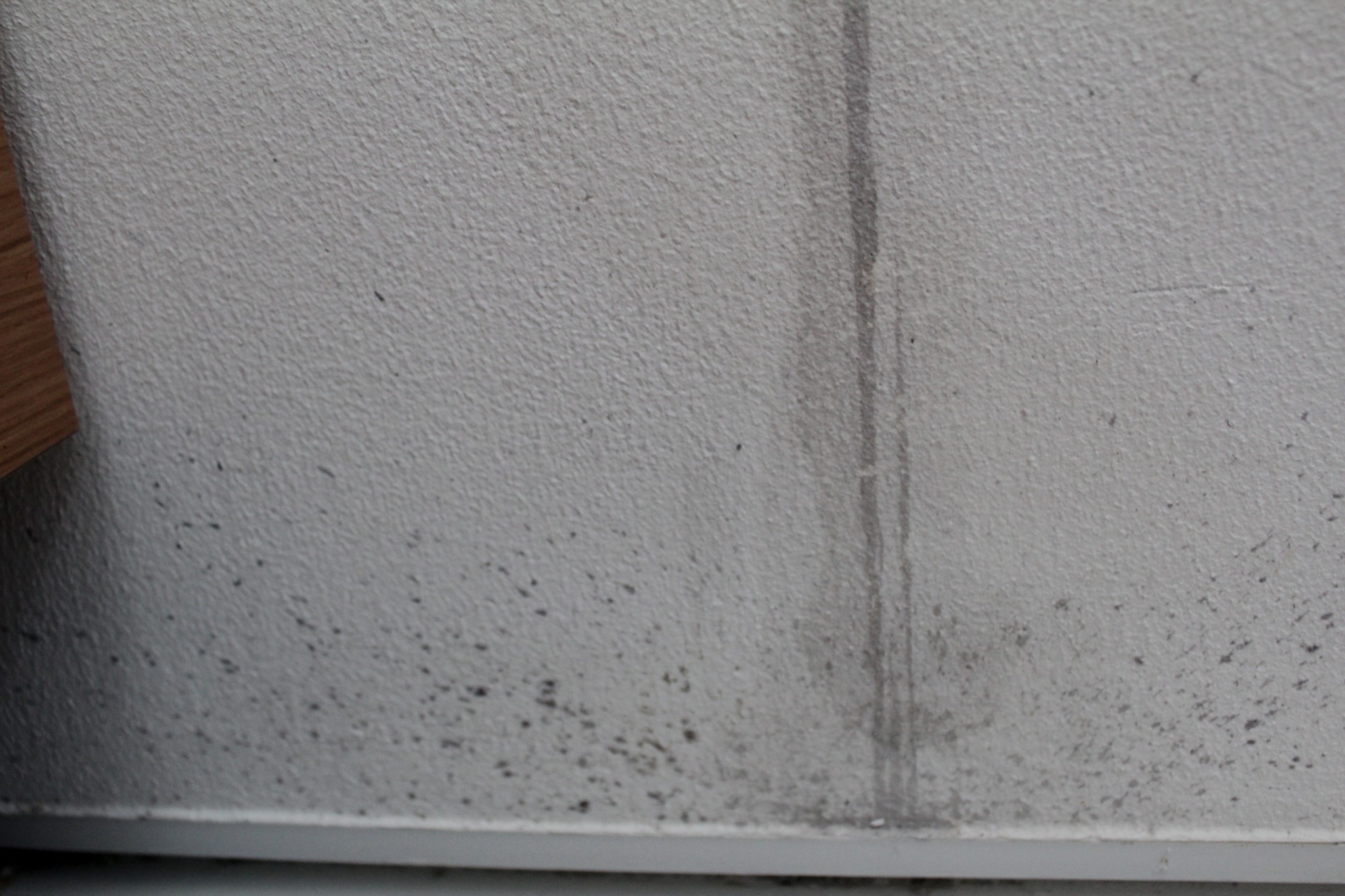 漆喰の壁の汚れ落とし 赤ワイン編 岡山市北区 朝日の家 株式会社サンオリエント